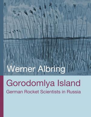 Cover of the book Gorodomlya Island by Ernst Fischer