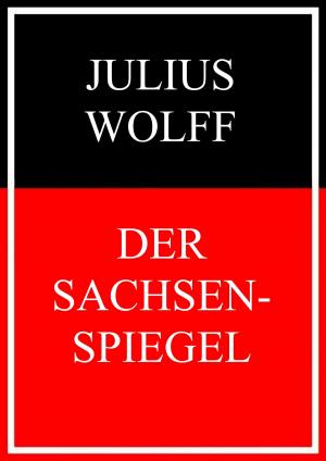 Cover of the book Der Sachsenspiegel by Michael Lorenz