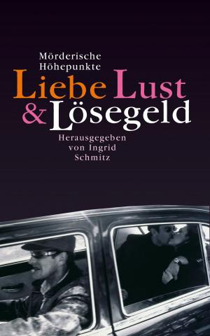 Cover of the book Liebe, Lust und Lösegeld by Michael David Anderson