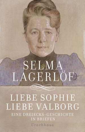 Cover of the book Liebe Sophie – Liebe Valborg by Tove Jansson