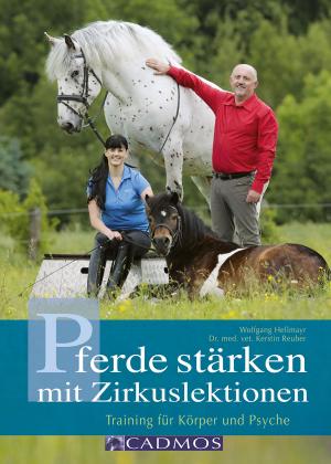 Cover of the book Pferde stärken mit Zirkuslektionen by Martina Braun