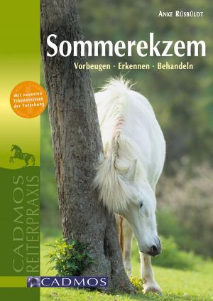 Cover of the book Sommerekzem by Markusine Guthjahr