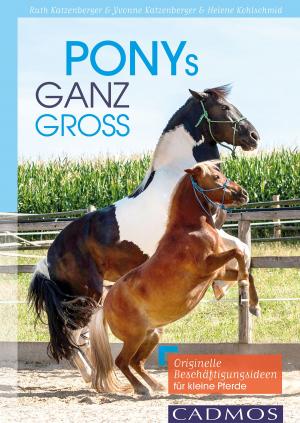 Cover of the book Ponys ganz groß by Manuela Zaitz