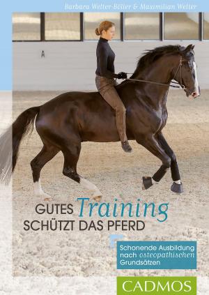 Cover of the book Gutes Training schützt das Pferd by Martina Braun