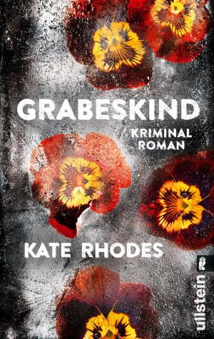 Cover of the book Grabeskind by Sandy Parks