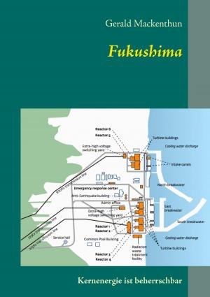 Cover of the book Fukushima by Jochen Stather, Corinna Ziebarth