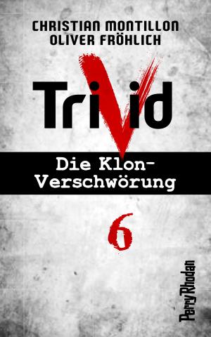 Book cover of Perry Rhodan-Trivid 6: Zusammenhalt
