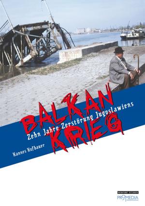 Cover of the book Balkankrieg by Petra Wild