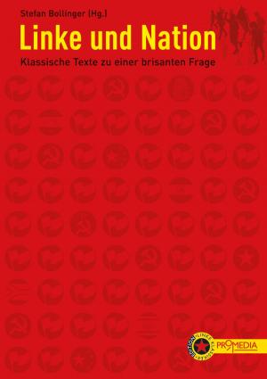 Book cover of Linke und Nation