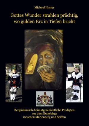 Cover of the book Gottes Wunder strahlen prächtig, wo gülden Erz in Tiefen bricht by Michael Brückner