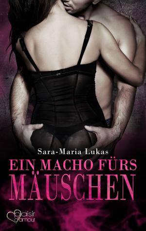Cover of Hard & Heart 4: Ein Macho fürs Mäuschen