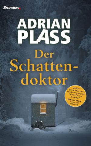 Cover of the book Der Schattendoktor by Fabian Vogt