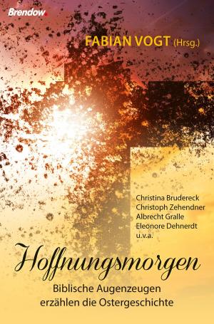 Cover of the book Hoffnungsmorgen by Frank Bonkowski
