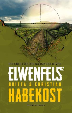 Book cover of Elwenfels²