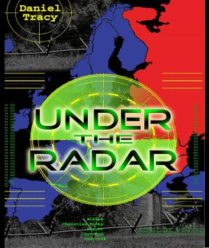 Cover of the book Under the Radar by Joy A Schneider