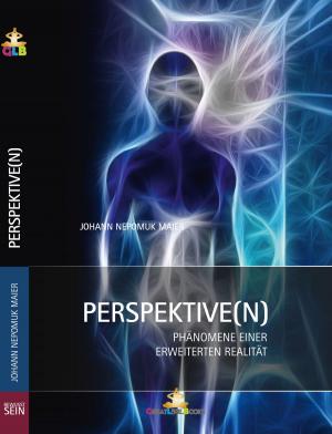 Cover of the book Perspektiven by Hélios de Lemme