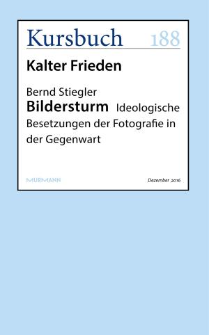 Cover of the book Bildersturm by Daniel Bax