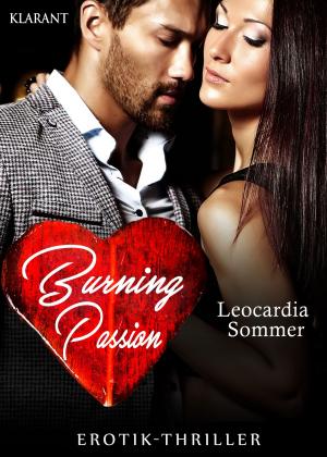 Book cover of Burning Passion. Erotik-Thriller