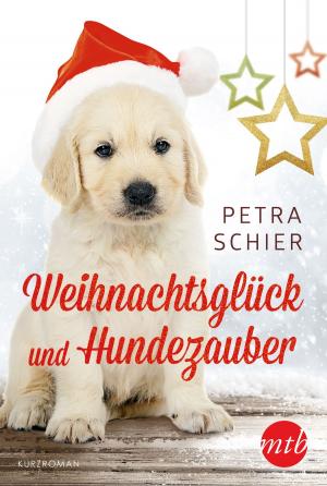 Book cover of Weihnachtsglück und Hundezauber