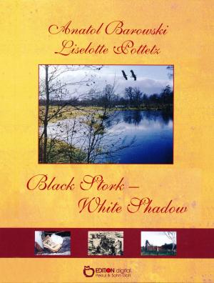 Cover of the book Black Stork - White Shadow by Ulrich Völkel