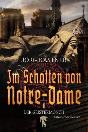 Cover of the book Im Schatten von Notre-Dame by Paul W. Feenstra