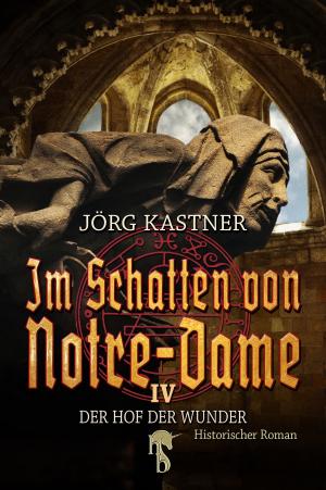 Cover of the book Im Schatten von Notre-Dame by Andreas Gruber