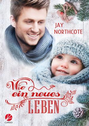Cover of the book Wie ein neues Leben by Raik Thorstad