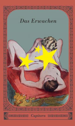 Cover of the book Das Erwachen. Geständnisse einer Dame aus gutem Hause by Kovacq