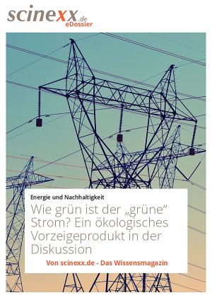 Cover of the book Wie grün ist der "grüne" Strom? by Daniela Albat