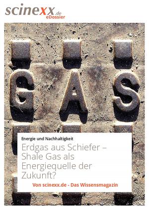 Cover of the book Erdgas aus Schiefer by Adolf Kraßnigg