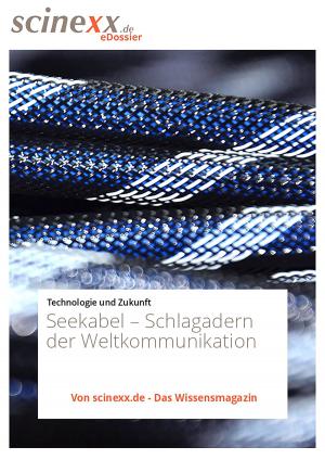 Cover of the book Seekabel by Kerstin Schmidt-Denter
