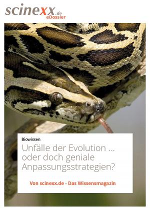 Cover of the book Unfälle der Evolution by Nadja Podbregar