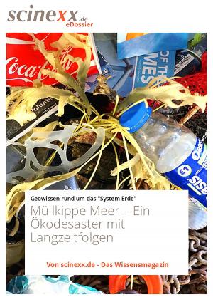 Cover of the book Müllkippe Meer by Dieter Lohmann