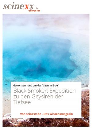 Cover of the book Black Smoker by Dieter Lohmann