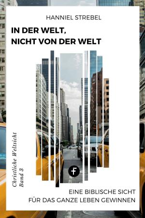 Cover of the book In der Welt, nicht von der Welt by Hanniel Strebel