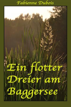 Cover of the book Ein flotter Dreier am Baggersee by Bruce Grant