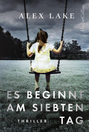 Cover of the book Es beginnt am siebten Tag by David Walliams