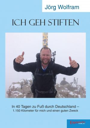Cover of the book Ich geh stiften by Werner Rosenzweig