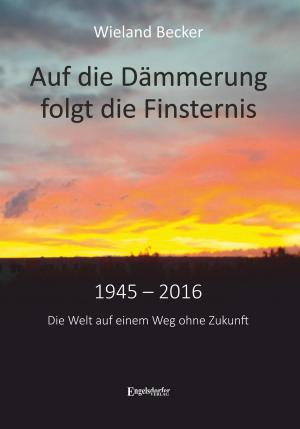 Cover of the book Auf die Dämmerung folgt die Finsternis by Toni M. Nutter