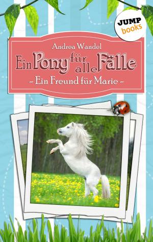 Book cover of Ein Pony für alle Fälle - Band 1: Ein Freund für Marie
