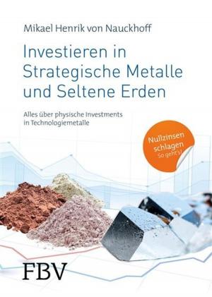 Cover of the book Investieren in Strategische Metalle und Seltene Erden by Michael Voigt