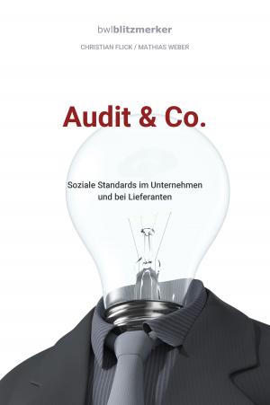 bigCover of the book bwlBlitzmerker: Audit & Co. by 