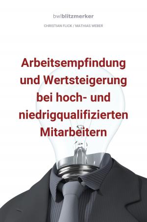 Cover of the book bwlBlitzmerker: Arbeitsempfindung und Wertsteigerung bei hoch- und niedrigqualifiz. Mitarbeitern by Dr.Troy Clark