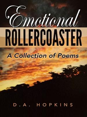 Cover of the book Emotional Rollercoaster by Jan Zweyer