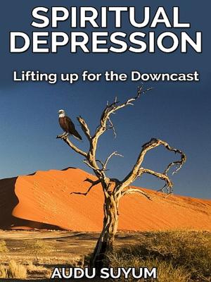 Cover of the book Spiritual Depression by Volker Friebel