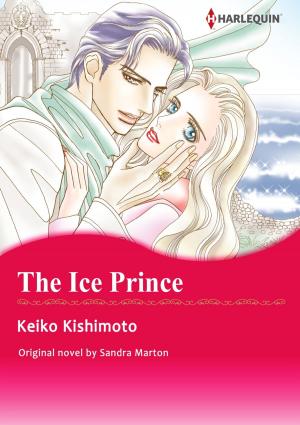 Book cover of THE ICE PRINCE