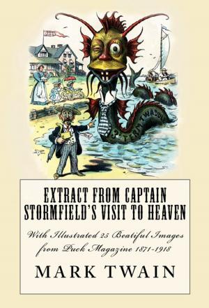 Cover of the book Extract from Captain Stormfield's Visit to Heaven by Immanuel Kant
