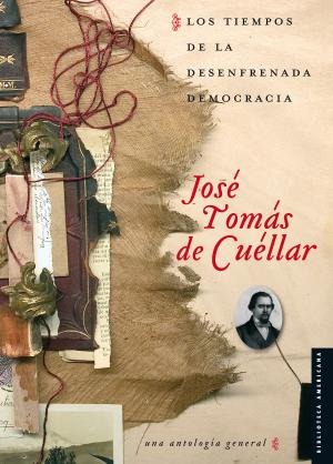 Cover of the book Los tiempos de la desenfrenada democracia by Antonio García de León