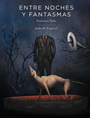 Cover of the book Entre noches y fantasmas by Iván Franco Cáceres