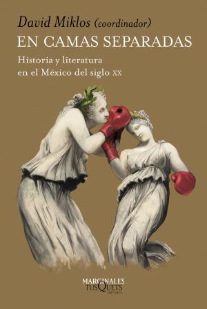 Cover of the book En camas separadas by Silvia García Ruiz